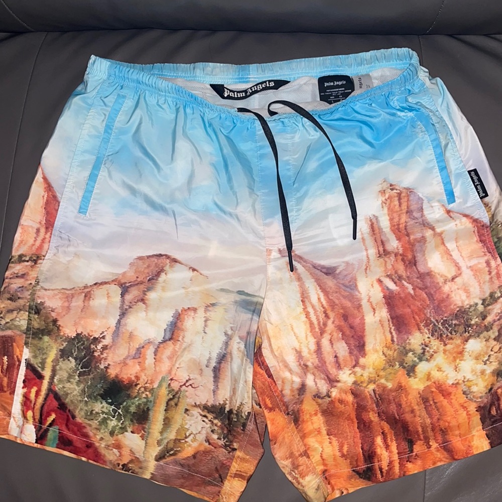 PALM ANGELS
Canyon print swim shorts